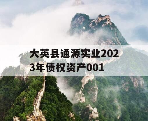 大英县通源实业2023年债权资产001