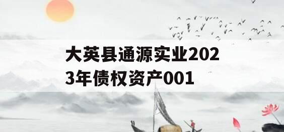 大英县通源实业2023年债权资产001