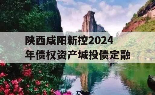陕西咸阳新控2024年债权资产城投债定融