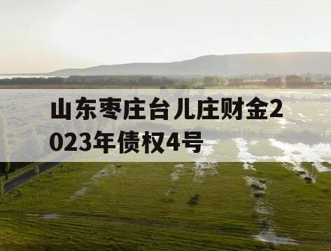 山东枣庄台儿庄财金2023年债权4号