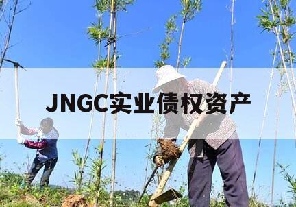 JNGC实业债权资产
