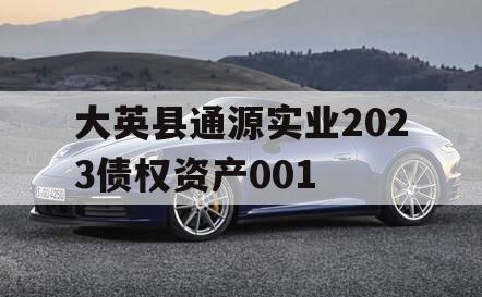 大英县通源实业2023债权资产001
