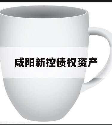 咸阳新控债权资产