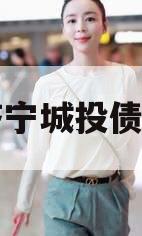 山东济宁城投债权资产
