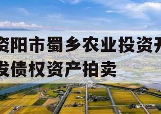 资阳市蜀乡农业投资开发债权资产拍卖