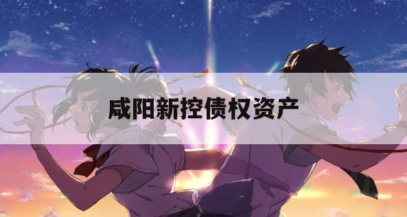咸阳新控债权资产
