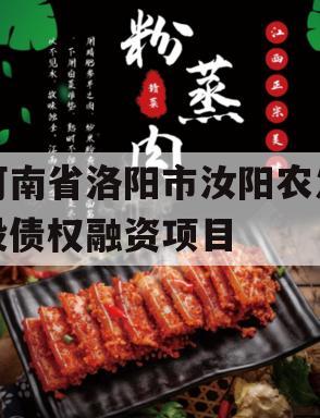河南省洛阳市汝阳农发投债权融资项目