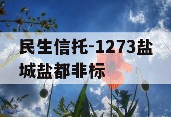 民生信托-1273盐城盐都非标