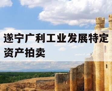 遂宁广利工业发展特定资产拍卖