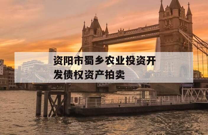 资阳市蜀乡农业投资开发债权资产拍卖