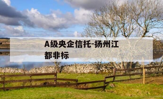 A级央企信托-扬州江都非标