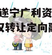 2024遂宁广利资产收益权转让定向融资计划