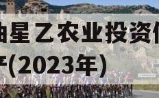 江油星乙农业投资债权资产(2023年)