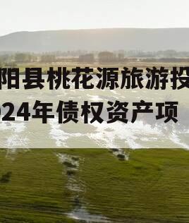 酉阳县桃花源旅游投资2024年债权资产项目
