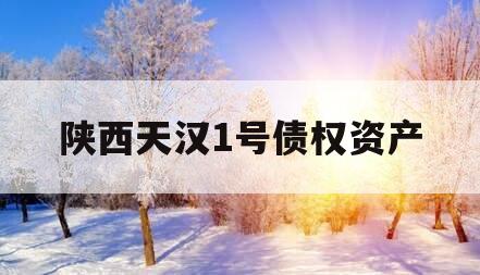 陕西天汉1号债权资产