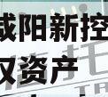 陕西咸阳新控2024年债权资产
