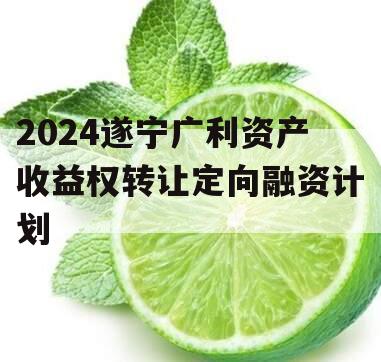 2024遂宁广利资产收益权转让定向融资计划