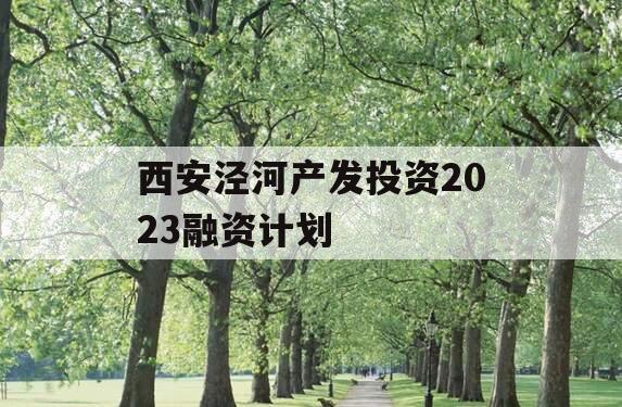 西安泾河产发投资2023融资计划
