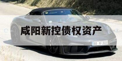 咸阳新控债权资产