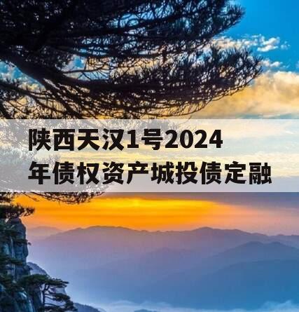 陕西天汉1号2024年债权资产城投债定融