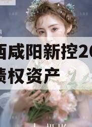 陕西咸阳新控2024年债权资产