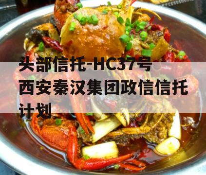 头部信托-HC37号西安秦汉集团政信信托计划