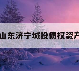 山东济宁城投债权资产