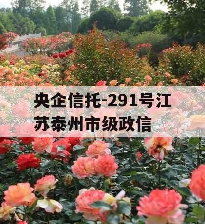 央企信托-291号江苏泰州市级政信