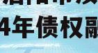 河南省洛阳市汝阳农发投2024年债权融资项目