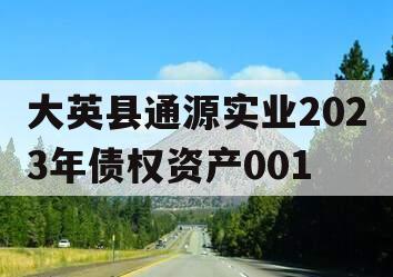 大英县通源实业2023年债权资产001