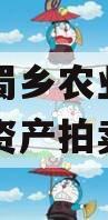 资阳市蜀乡农业投资开发债权资产拍卖