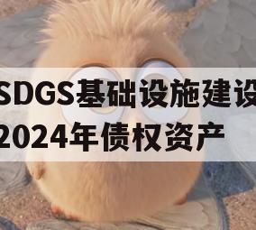 SDGS基础设施建设2024年债权资产