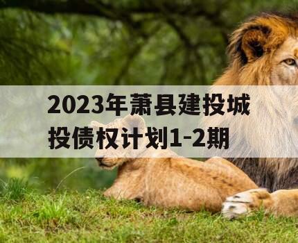 2023年萧县建投城投债权计划1-2期