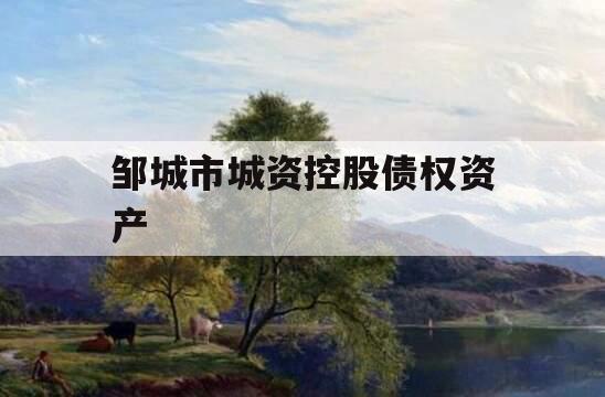 邹城市城资控股债权资产