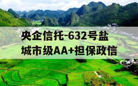 央企信托-632号盐城市级AA+担保政信