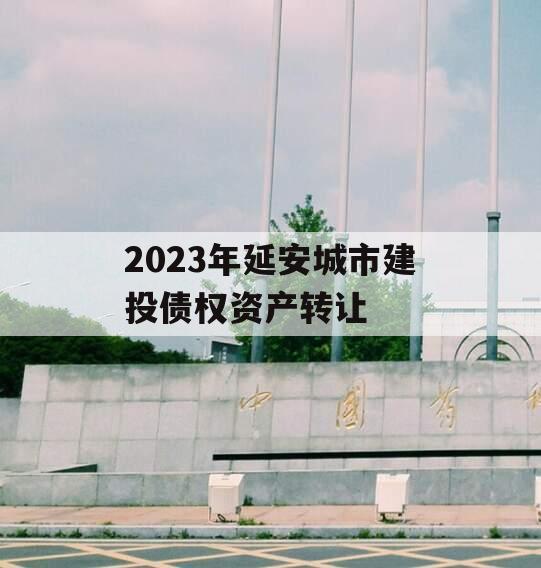 2023年延安城市建投债权资产转让
