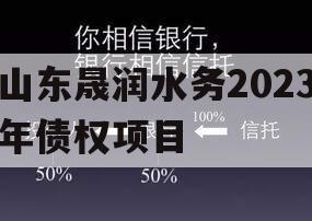 山东晟润水务2023年债权项目