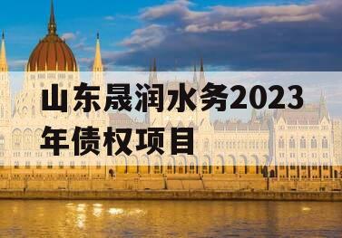 山东晟润水务2023年债权项目