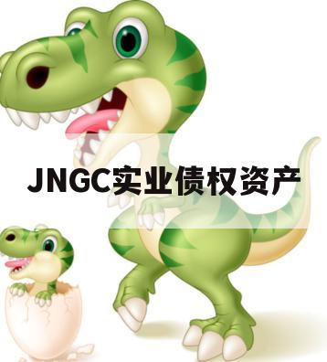 JNGC实业债权资产