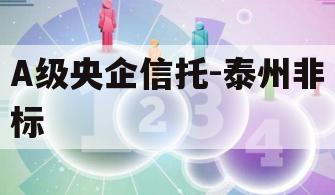 A级央企信托-泰州非标