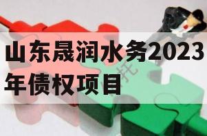 山东晟润水务2023年债权项目