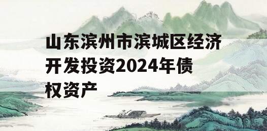 山东滨州市滨城区经济开发投资2024年债权资产
