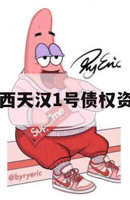 陕西天汉1号债权资产