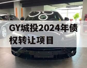 GY城投2024年债权转让项目