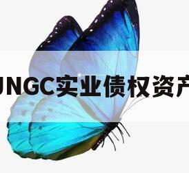 JNGC实业债权资产