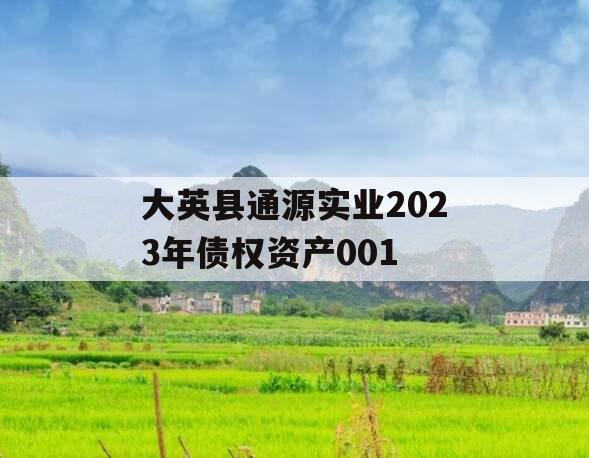 大英县通源实业2023年债权资产001