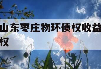 山东枣庄物环债权收益权