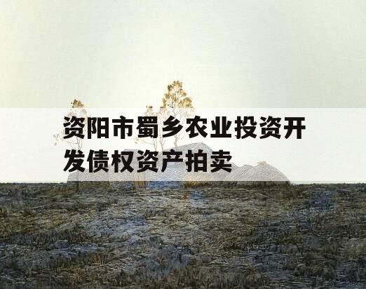 资阳市蜀乡农业投资开发债权资产拍卖