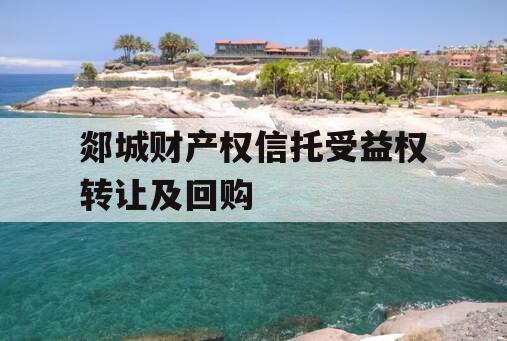 郯城财产权信托受益权转让及回购