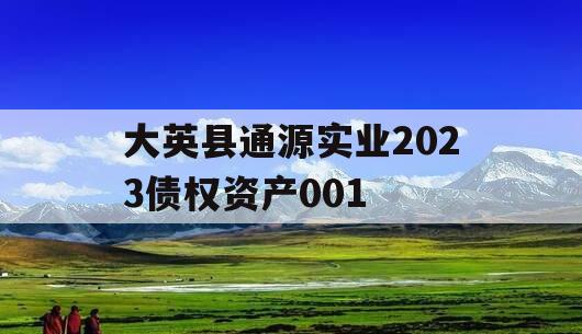 大英县通源实业2023债权资产001